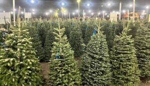 Christmas tree