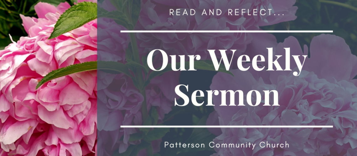 Weekly Sermon (10)