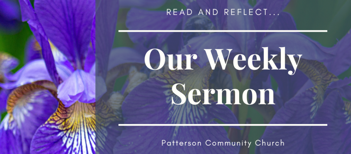 Weekly Sermon (11)