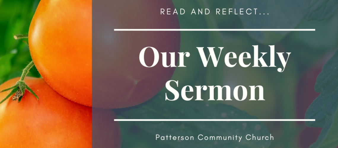 Weekly Sermon (12)