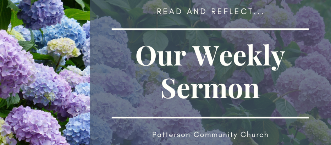 Weekly Sermon (23)