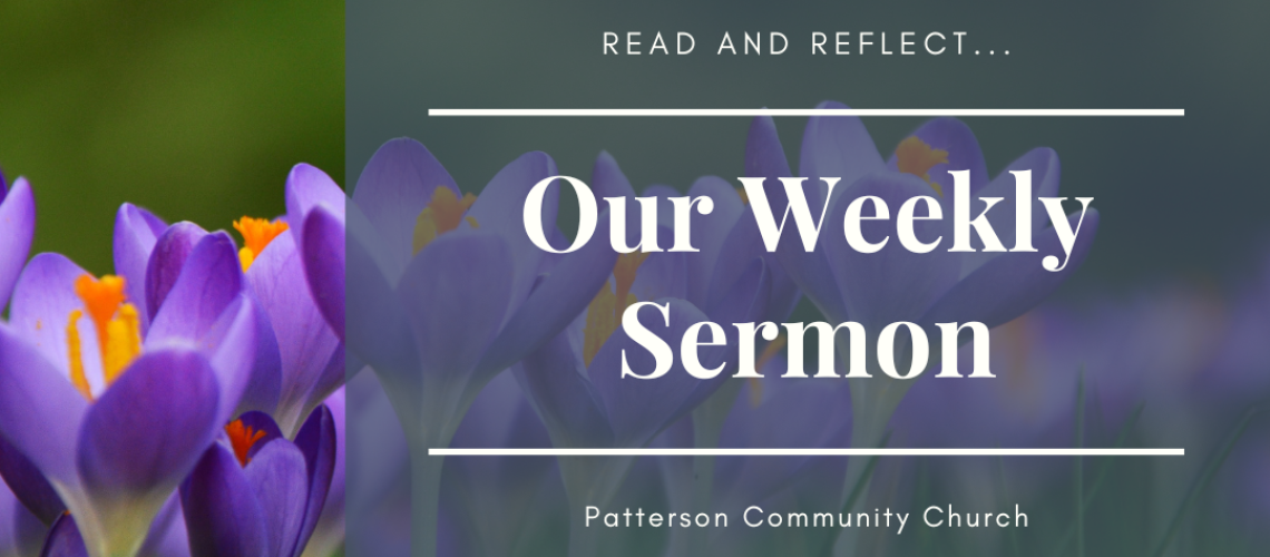 Weekly Sermon (8)